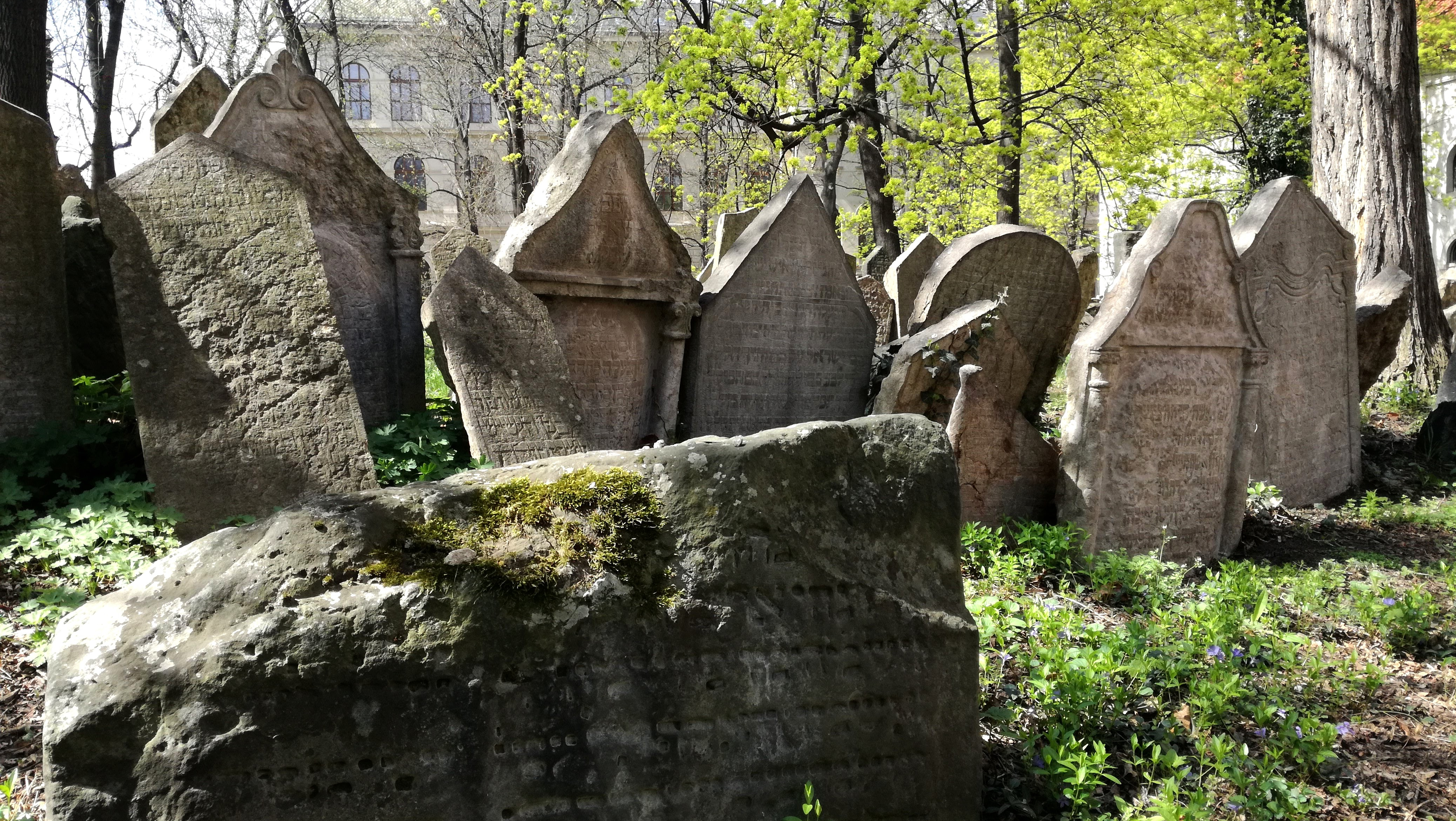 Le cimetière juif de Prague, datant du Moyen Age compterait plus de 12000 tombes